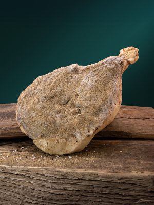 Prosciutto stagionato 12-15 mesi, disossato
