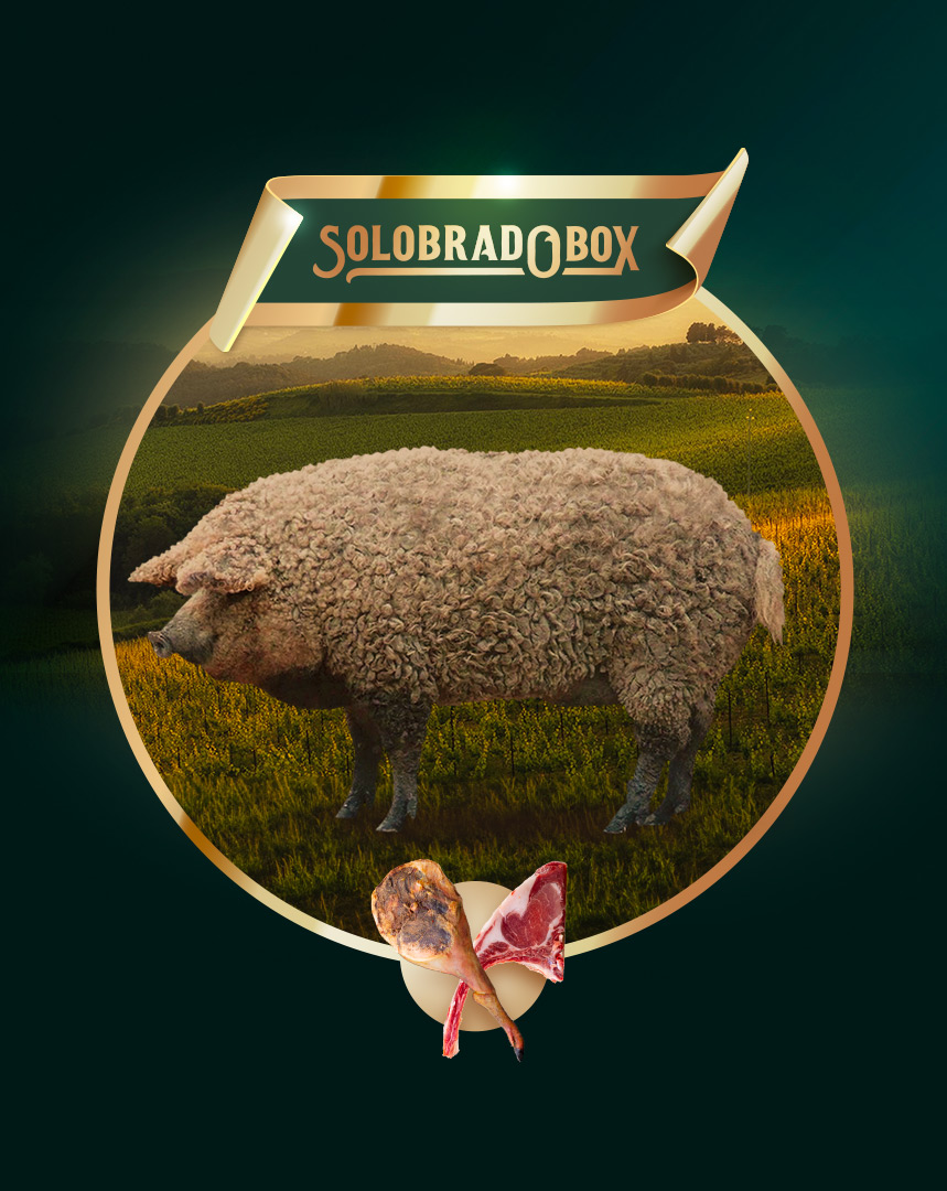 maiale-intero-2-carni-stagionate-mangalica-solobrado-italia